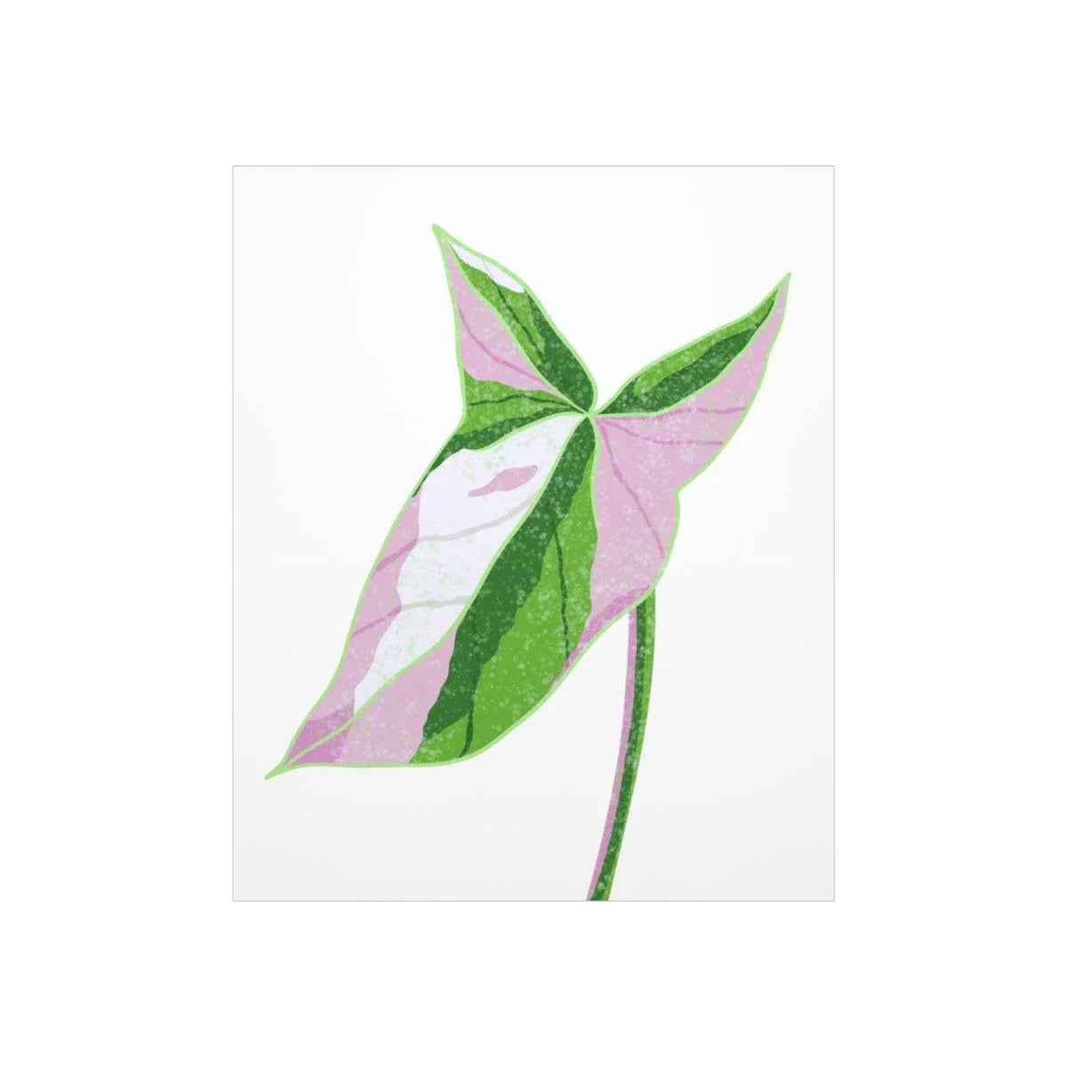 Syngonium Tricolor Botanical Print – Unframed Wall Art