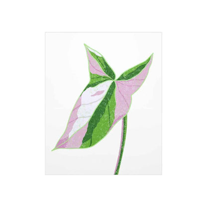 Syngonium Tricolor Botanical Print – Unframed Wall Art