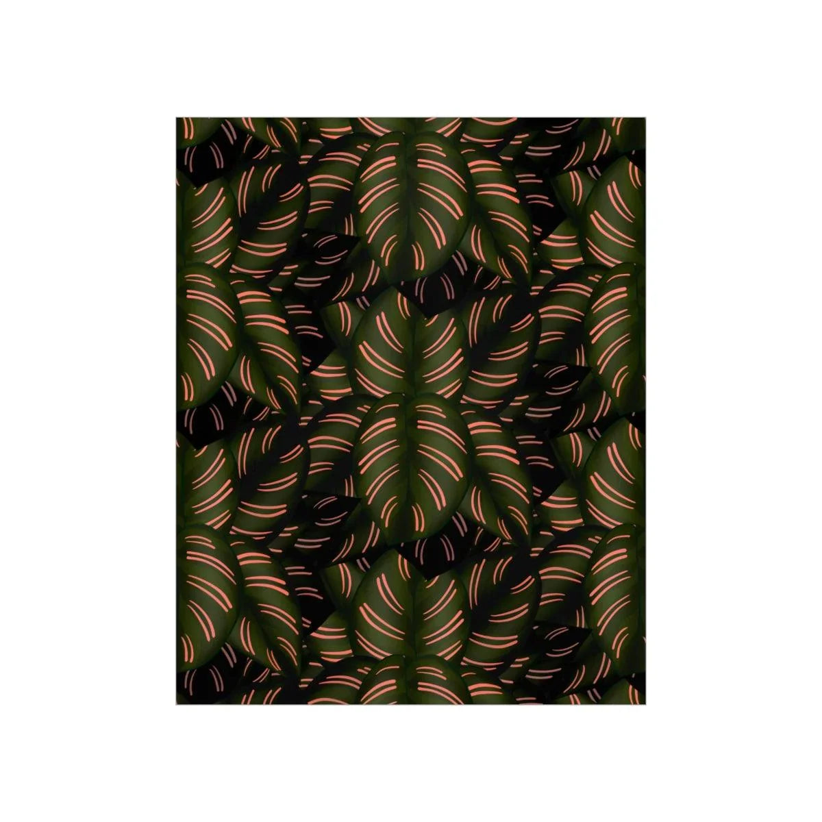 Calathea Pinstripe Botanical Print – Unframed Wall Art