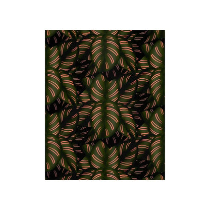 Calathea Pinstripe Botanical Print – Unframed Wall Art