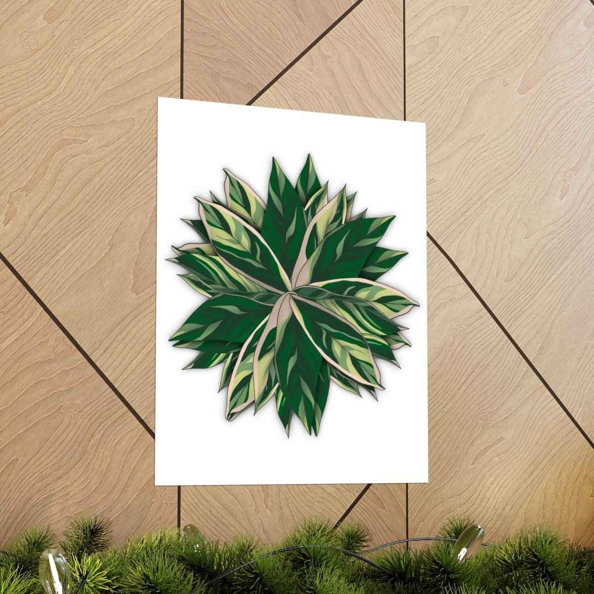 Stromanthe Triostar Botanical Print – Unframed Wall Art