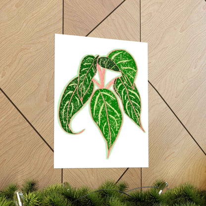 Aglaonema Sparkling Sarah Botanical Print – Unframed Wall Art