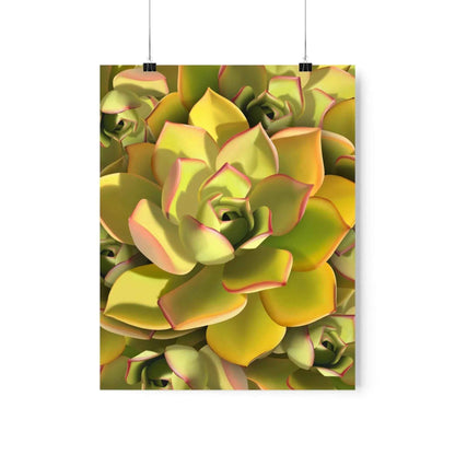 Noble Aeonium Succulent Pattern Botanical Print – Unframed Wall Art