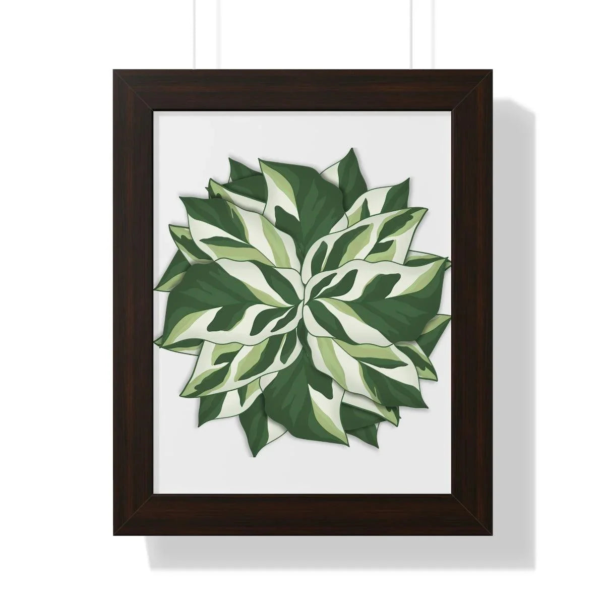 Calathea White Fusion Framed Print – Botanical Wall Art