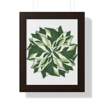 Calathea White Fusion Framed Print – Botanical Wall Art