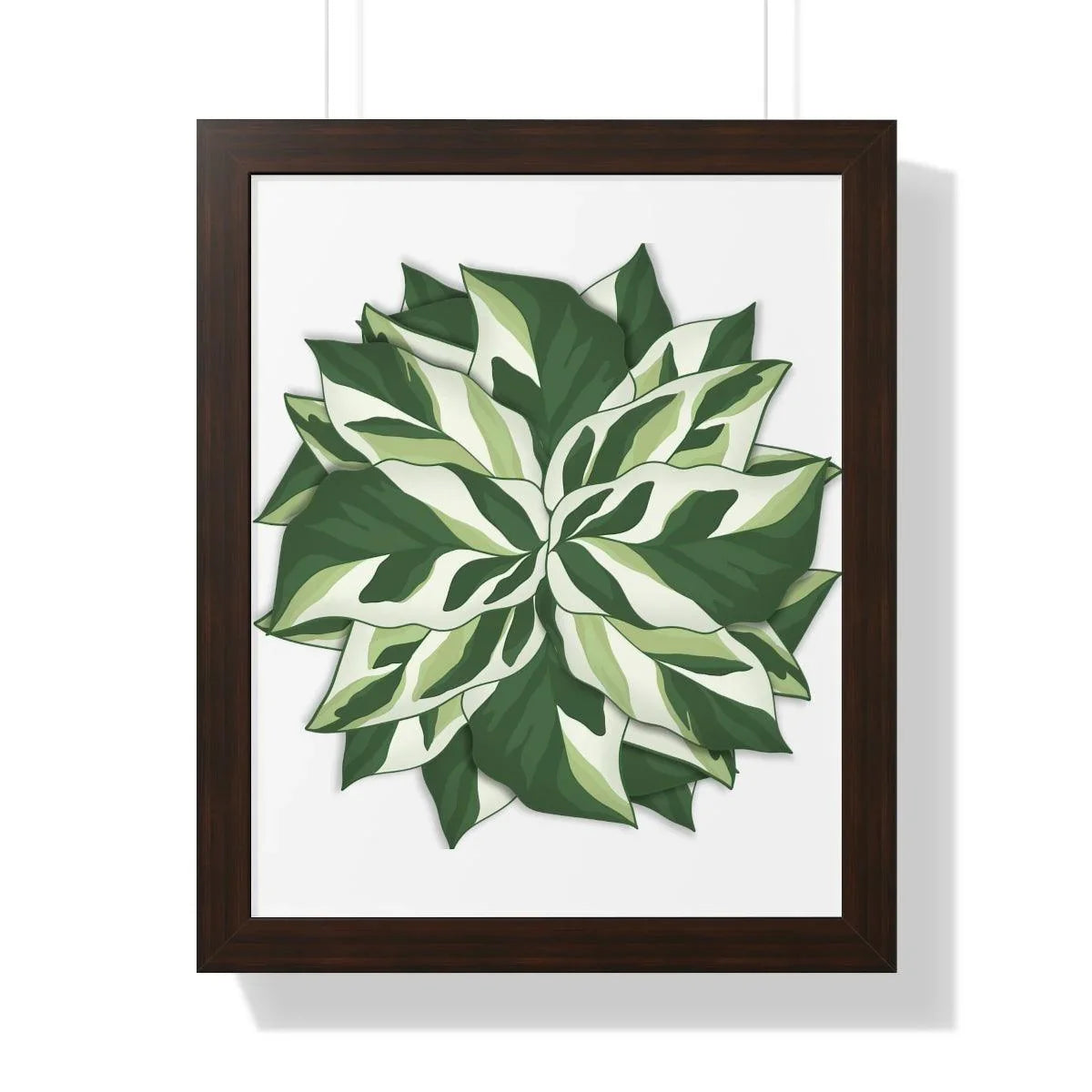 Calathea White Fusion Framed Print – Botanical Wall Art