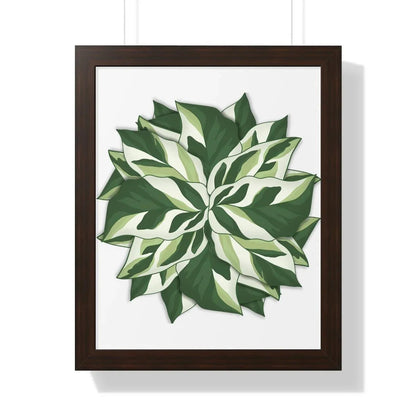 Calathea White Fusion Framed Print – Botanical Wall Art
