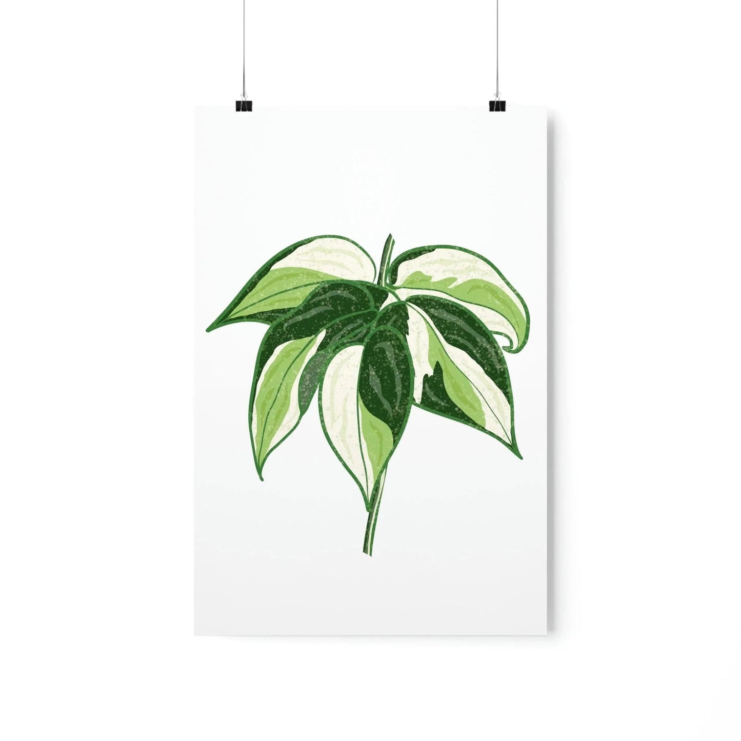 Philodendron Cream Splash Botanical Print – Unframed Wall Art