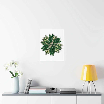 Stromanthe Triostar Botanical Print – Unframed Wall Art
