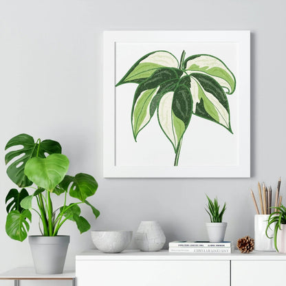 Philodendron Cream Splash Framed Print – Botanical Wall Art