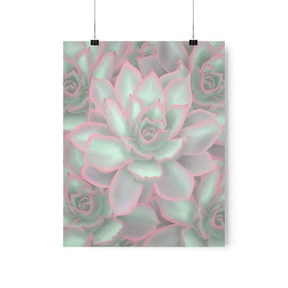 Echeveria Violet Queen Succulent Pattern Botanical Print – Unframed Wall Art