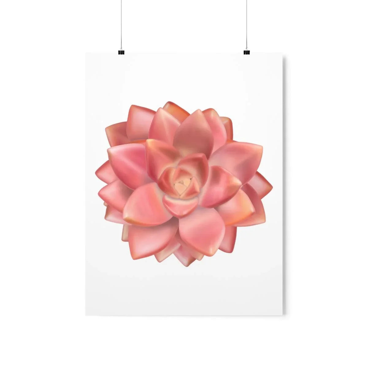 Graptosedum California Sunset Succulent Botanical Print – Unframed Wall Art