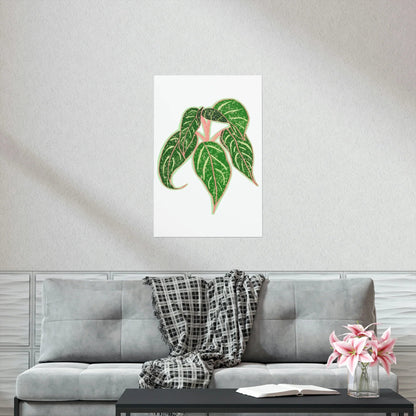 Aglaonema Sparkling Sarah Botanical Print – Unframed Wall Art