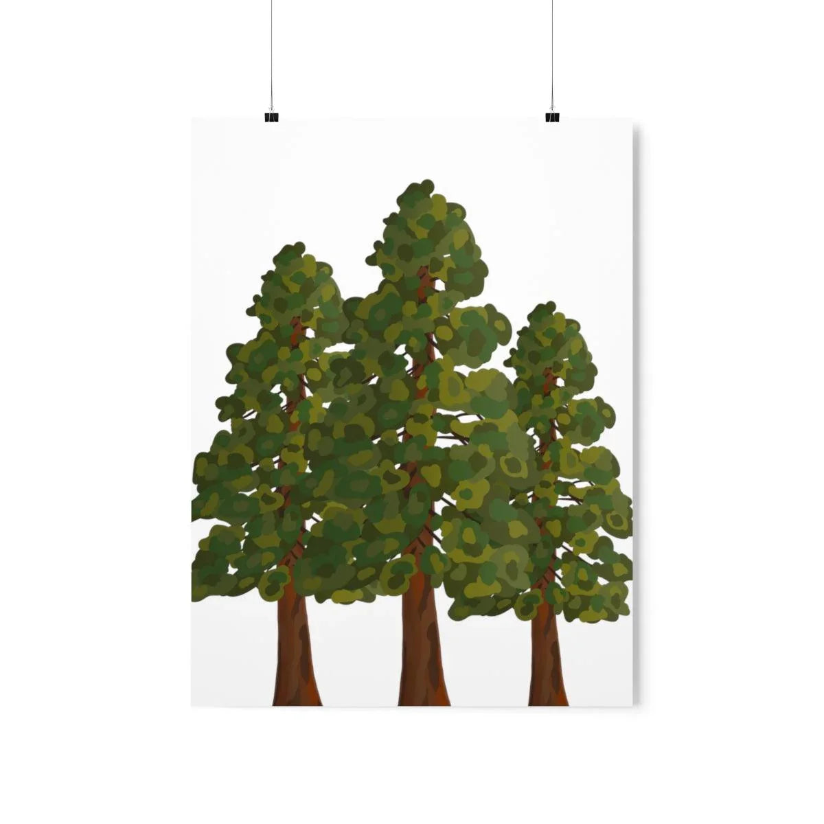 Coastal Redwood Print – Unframed Wall Art