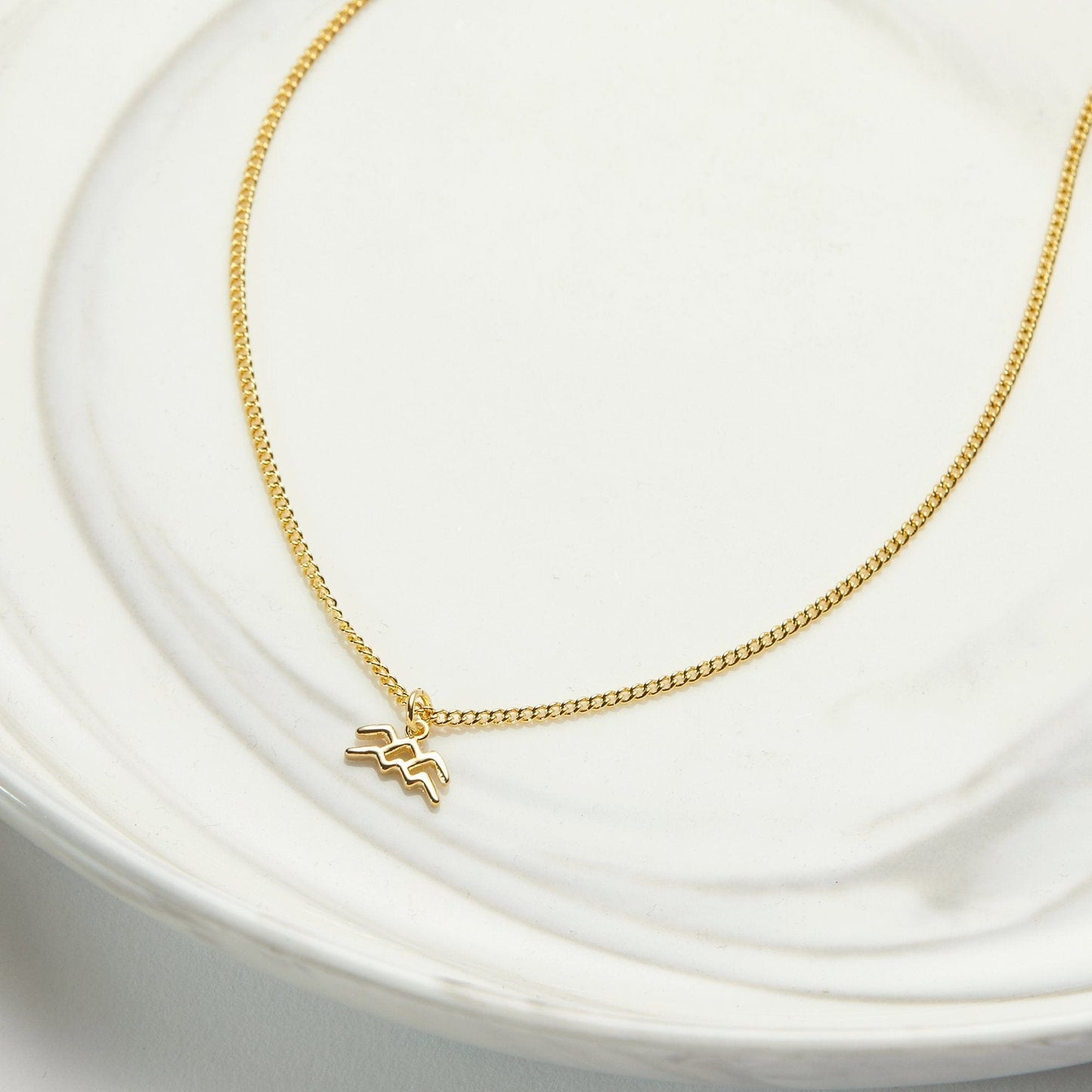 February 12th Aquarius Necklace