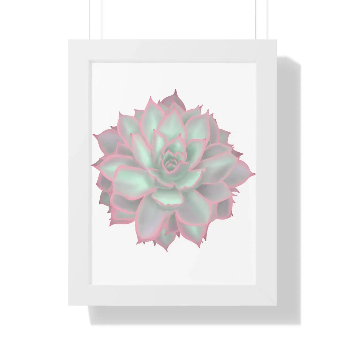 Echeveria Violet Queen Succulent Framed Print – Botanical Wall Art