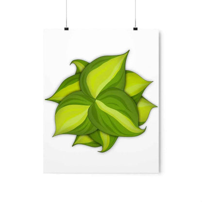 Philodendron Brasil Botanical Print – Unframed Wall Art