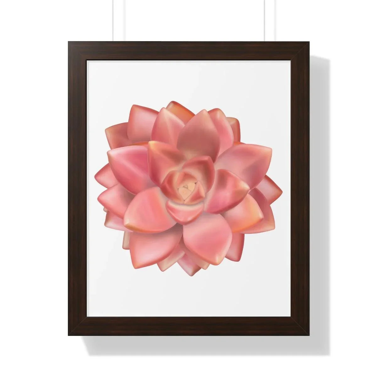 Graptosedum California Sunset Succulent Framed Print – Botanical Wall Art