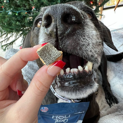 Wild Caught Salmon Dog Treats