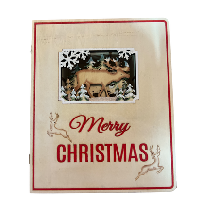 Merry Christmas Advent Book