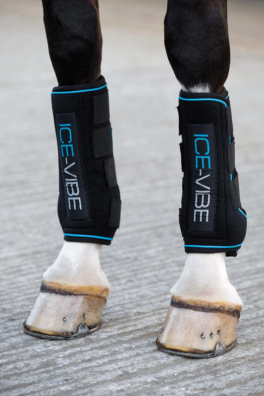 Ice Vibe Therapy Boot for Horses, 2 Pack