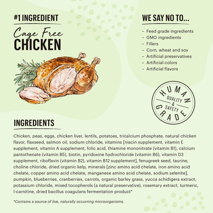 Honest Kitchen Grain Free Clusters Chicken Dry Cat Food (1lb)