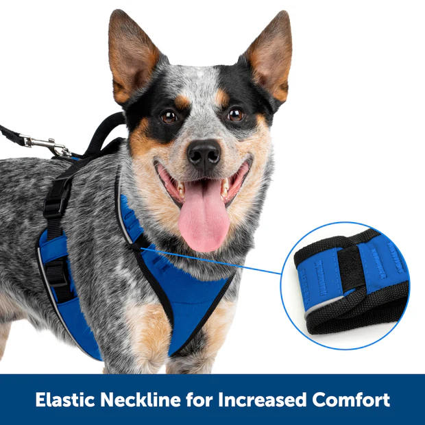 Petsafe Easysport Harness Charcoal Md