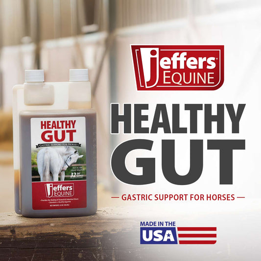 Jeffers Healthy Gut Gastric Support Liquid Supplement for Horses