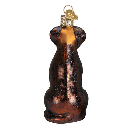 Chocolate Labrador Glass Ornament