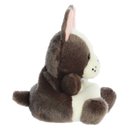Beau French Bulldog  Palm Pal
