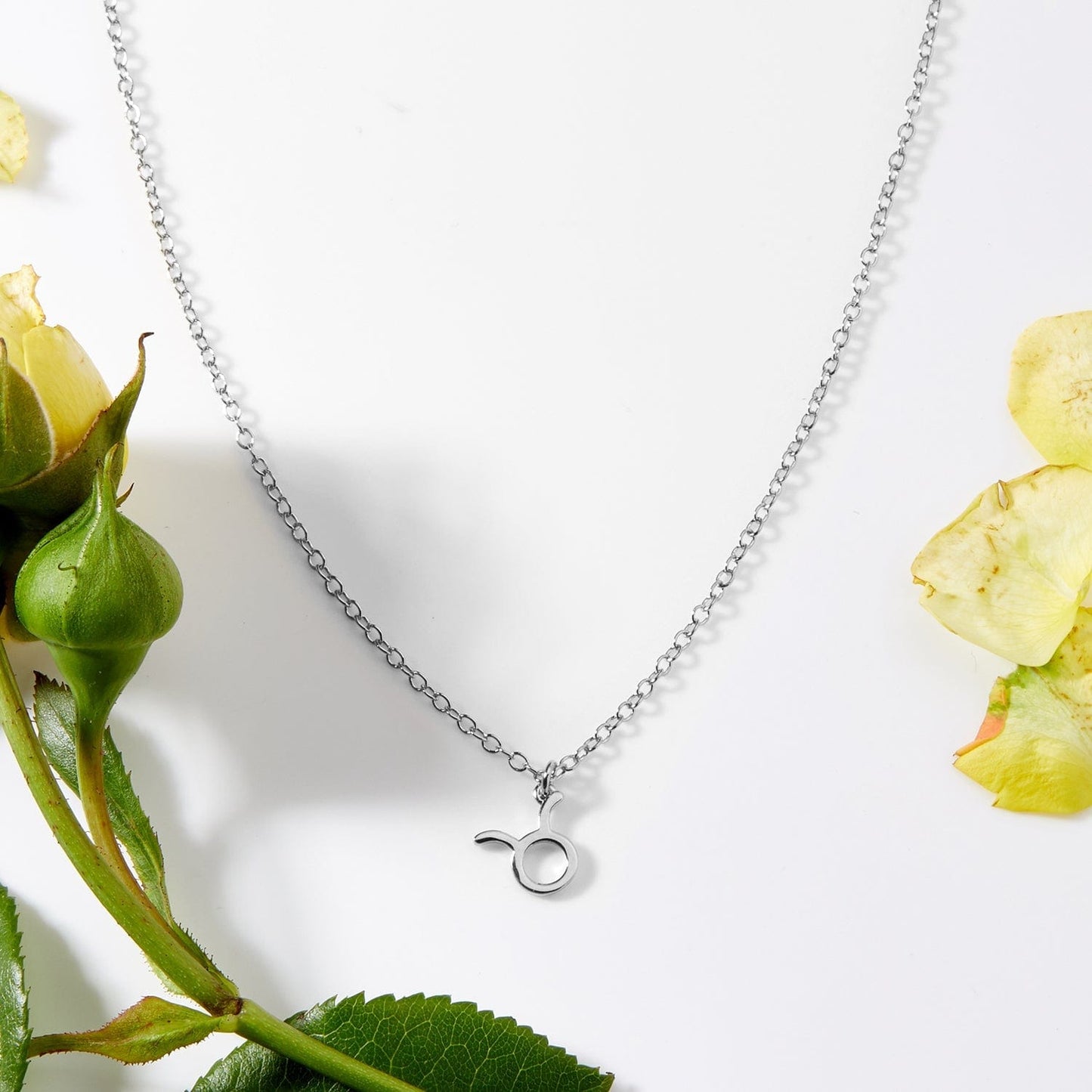 May 18th Taurus Necklace