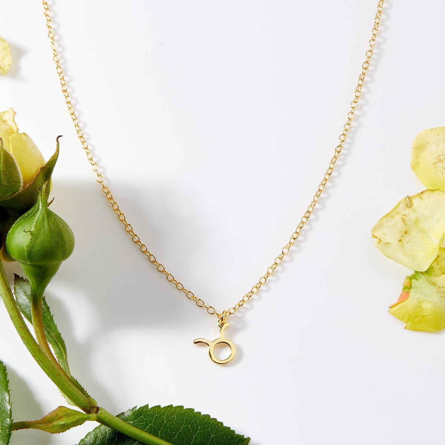 May 19th Taurus Necklace