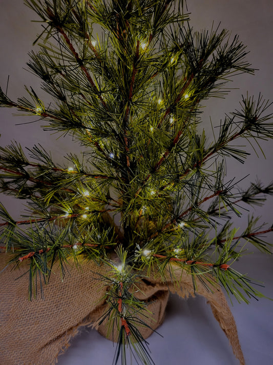 Pre-lit Bristle Pine Tree in Burlap Base - 24 inch