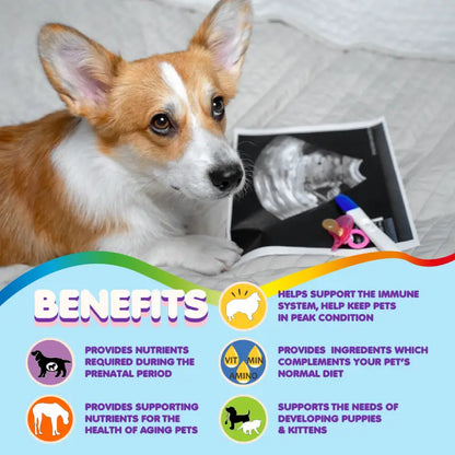 Multivitamin for Dogs & Cats. Prenatal Vitamins. 90 Tabs