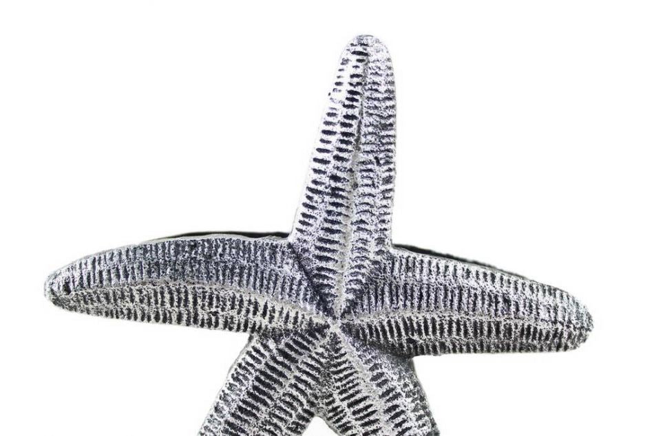 Antique Silver Cast Iron Starfish Napkin Holder 6""