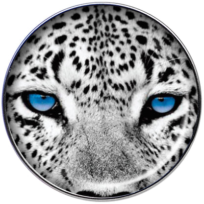 16G 1/4 Black White Leopard Eyes Tragus Cartilage Earring