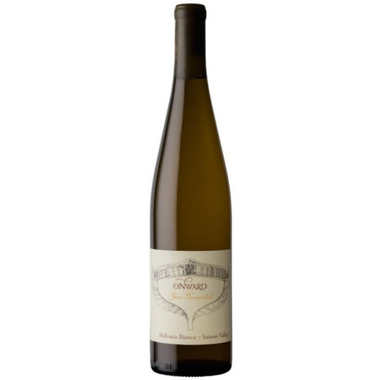 Onward Wines - Skin-Fermented Malvasia Bianca (750ML)
