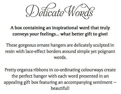 Delicate Words - Good Luck