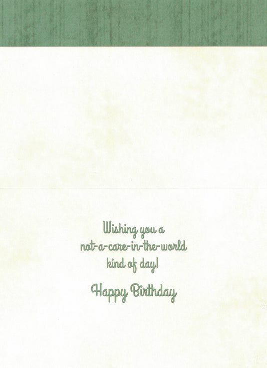 Birthday Card - Not A Care In The World