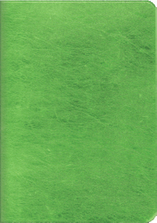 Soft Cover Foil Cover Mini Notebook 3 pack - Green/Gray/Red