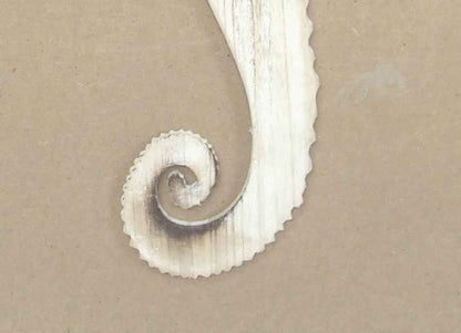Wooden Rustic Whitewashed Wall Mounted Seahorse Decoration 36""