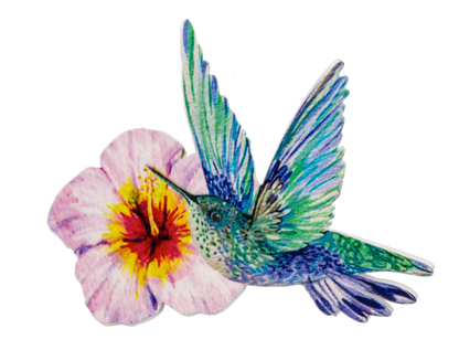 Hummingbird Screen Door Savers -