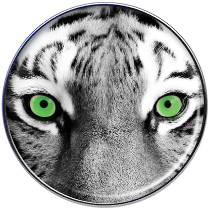16G 1/4 Black White Tiger Eyes Tragus Cartilage Earring