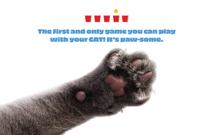 Knock It Off - A Game You Play With Your Cat