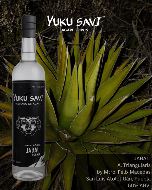 Yuku Savi - 'Jabali' Mezcal (Jabali | 750ML)