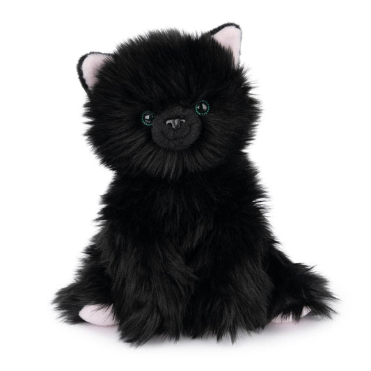 Xavier  Kitten