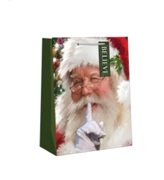 Traditional Small Gift Bag - Santa